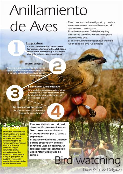 Hacer Historia: Las Aves del Perú  Infografías