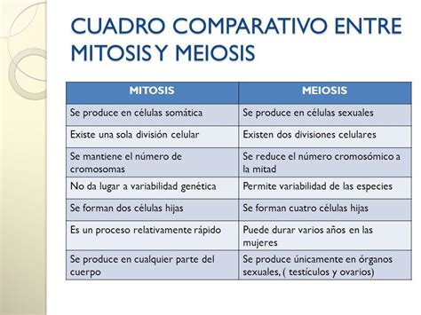 Hacer un cuadro comparando la mitosis y la meiosis.   Brainly.lat