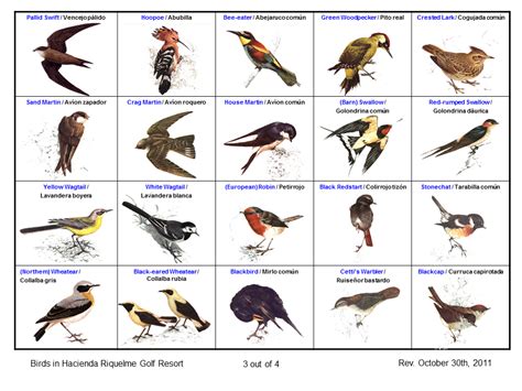 Hacienda Riquelme Blog: Naturaleza y observación de aves ...