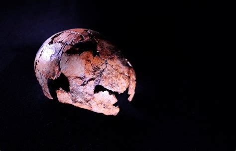 Hallados en Sudáfrica los fósiles más antiguos de ‘Homo ...