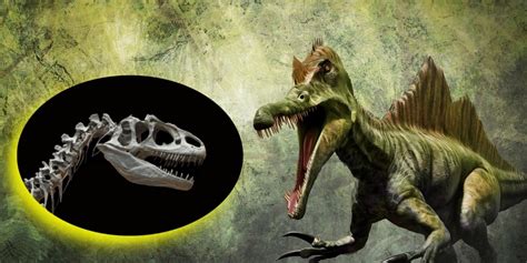 Hallan antiguo dinosaurio de hace 140 millones de años | Chispa