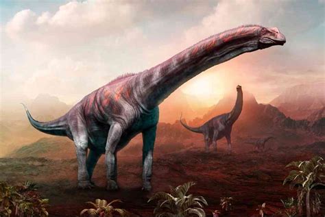 Hallan dinosaurio que podría ser el animal más grande que ...