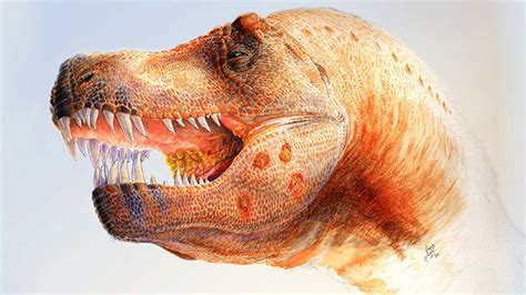Hallan el fósil de un nuevo dinosaurio jurásico, uno de ...
