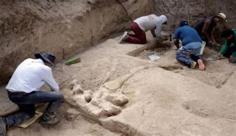Hallan en Puebla restos fósiles de un mamut – Noticieros Televisa