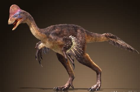 Hallan nueva especie de dinosaurio de cuello largo y con cresta ...