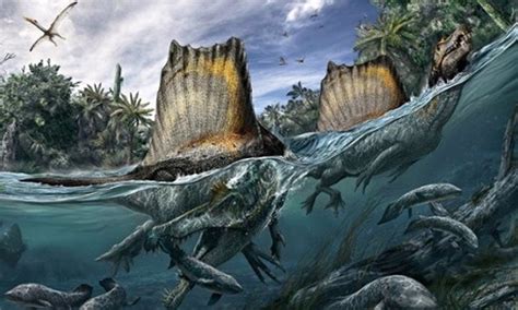 Hallan restos de un depredador mayor que el T. Rex y que sabía nadar