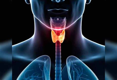 Hallan una nueva diana terapéutica para el cáncer de tiroides