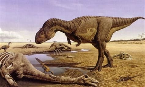 Hallaron restos fósiles de un dinosaurio que tendría unos 70 millones ...