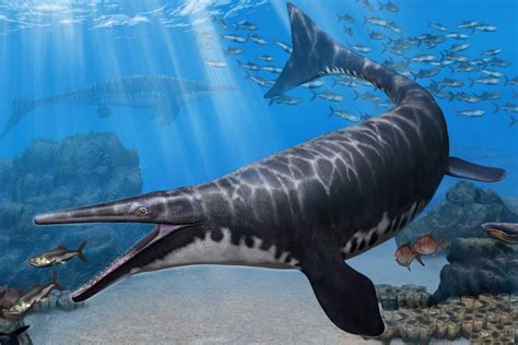 Hallaron una nueva especie de mosasaurus, el “monstruo” marino que ...