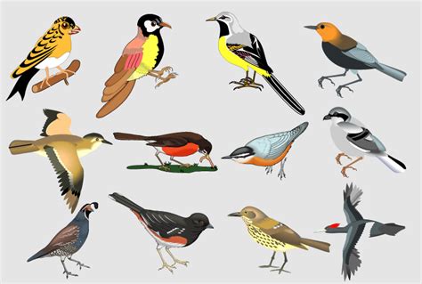 Hand Drawn Birds | Free Vector Graphic Download