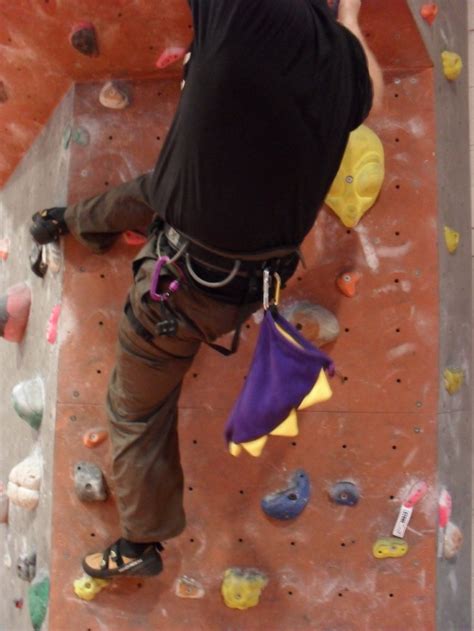 Handmade Dinosaur Tail Rock Climbing Chalk Bag | Etsy