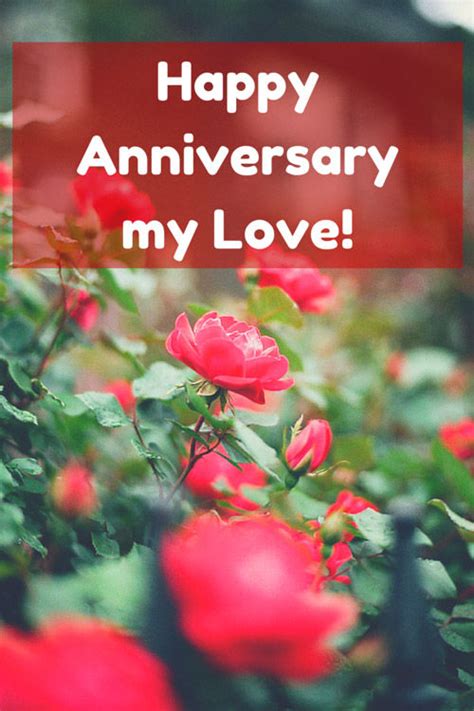 Happy Anniversary My Love Pictures, Photos, and Images for ...