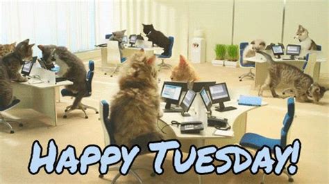 Happy Tuesday GIFs. 123 Funny Animated Pics with Wishes