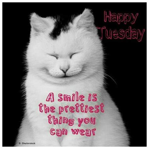 Happy Tuesday | Good morning quotes, Happy tuesday quotes ...