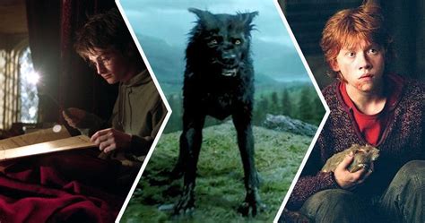 Harry Potter: 15 Things About The Marauders That Make No Sense