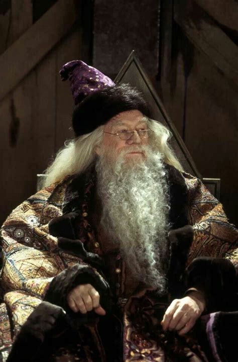 Harry Potter  Albus Dumbledore | Albus Perkamentus | Potter