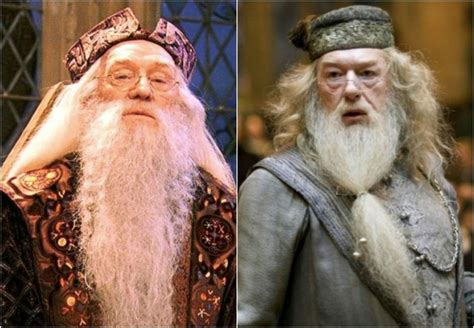 Harry Potter Dumbledore Actor Michael Gambon Labzada Blouse