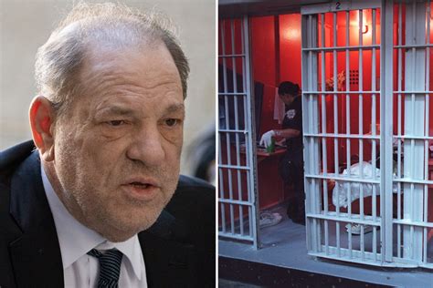 Harvey Weinstein ‘begs judge to give him five year prison sentence ...