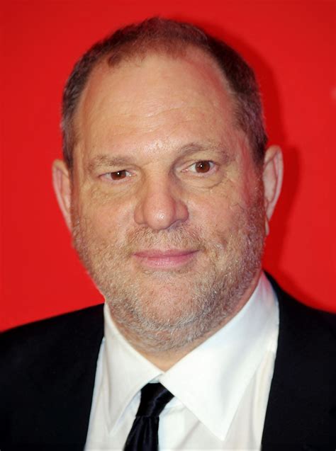 Harvey Weinstein sexual abuse cases   Wikipedia