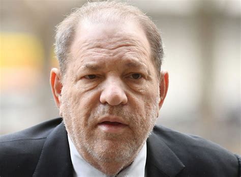 Harvey Weinstein verdict: jailed for 23 years | NewsHub.co.uk