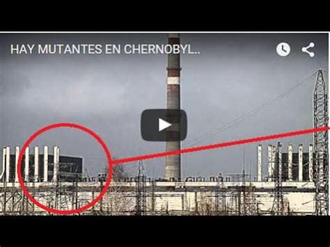 HAY MUTANTES EN CHERNOBYL.. | Chernobyl, Mutante, Youtube