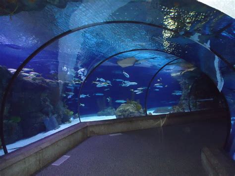 Henry Doorly Zoo and Aquarium   Zoo in United States ...