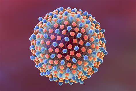 Hepatitis C Still Increases Mortality Rate After Being ...