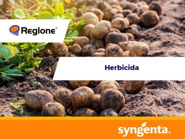 Herbicida Reglone | Agrofy