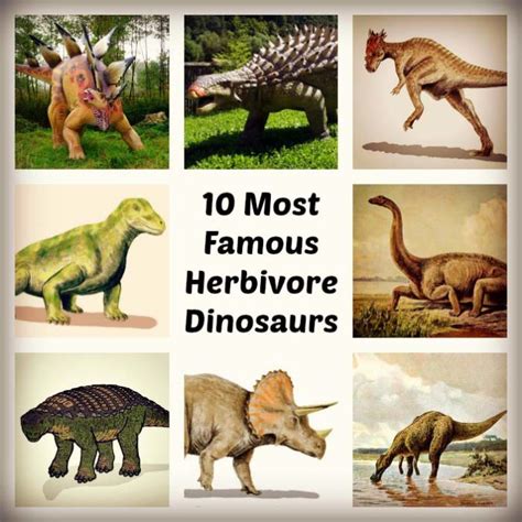 Herbivore Dinosaurs | 10 Famous List of Plant Eating Dinosaurs
