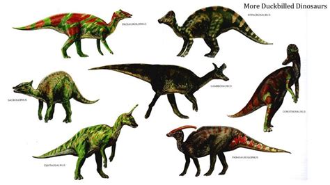 herbivore dinosaurs   Google haku | refboard | Pinterest ...
