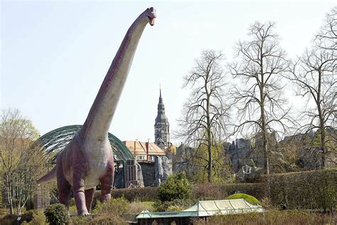Hereinspaziert: Der Zoo bietet wieder sein Gesamtpaket | Zoo Leipzig