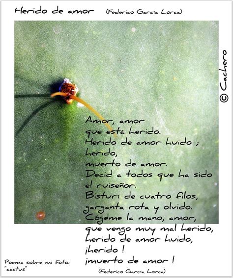 Herido de amor | Federico Garcia Lorca. Poema sobre mi ...