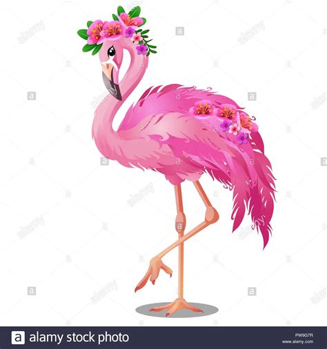 Hermosa ave flamenco rosa con flores aisladas sobre fondo ...