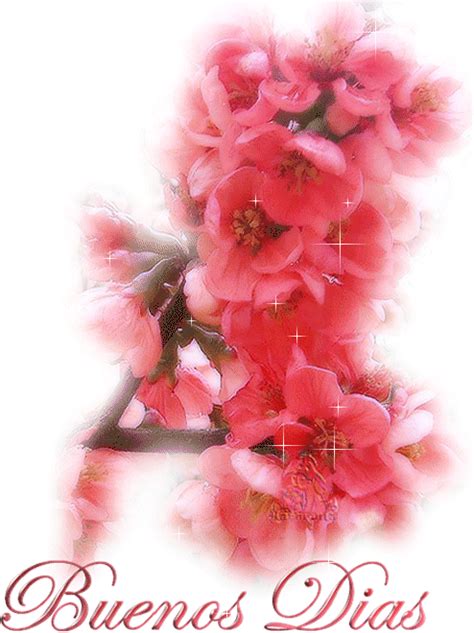 Hermosas flores rosas para darte los Buenos Dias | tejidos ...