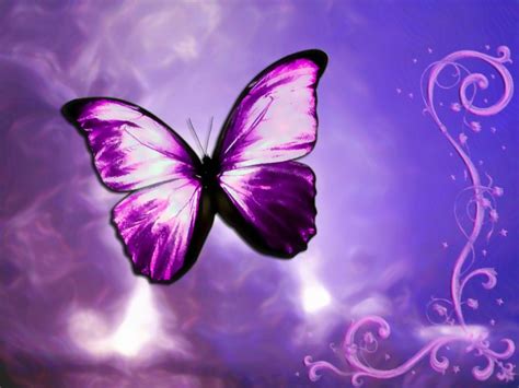 Hermosas imágenes con Mariposas para Portadas del Facebook ...