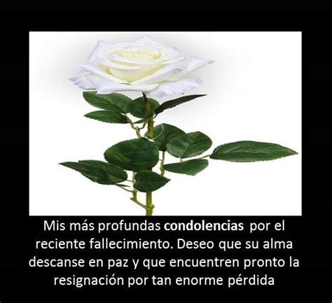 Hermosas Imágenes De Rosas Blancas Con Frases De Luto Y Paz   IMÁGENES ...