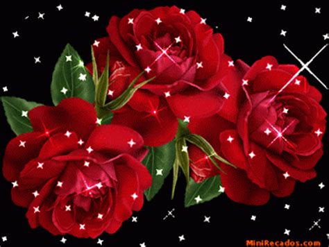 Hermosas Rosas Con Movimiento! :