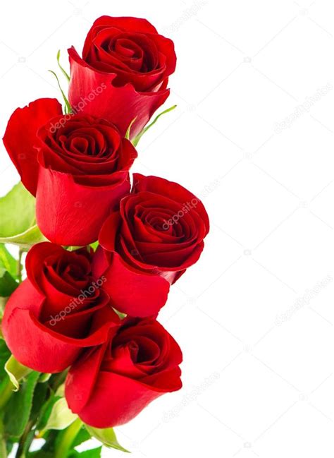 hermosas rosas rojas — Fotos de Stock  LiliGraphie #100511196