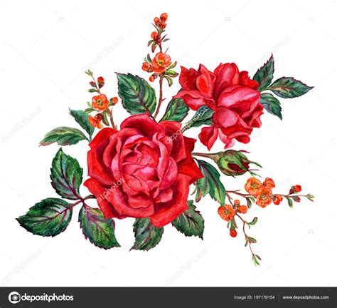 Hermosos Rosas Rojas Dibujos De Flores Para Dibujar