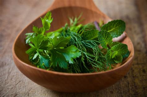 Hierbas medicinales para la artrosis | Cooking with essential oils ...