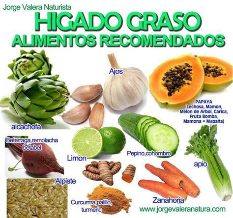 Hígado graso | Good to know | Pinterest