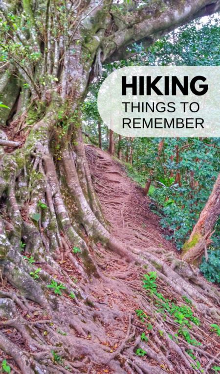 Hiking for beginners: 15 hiking tips for the trails ...