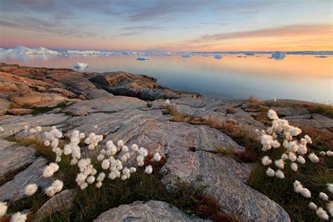 Hiking routes in North Greenland with views of icebergs ...