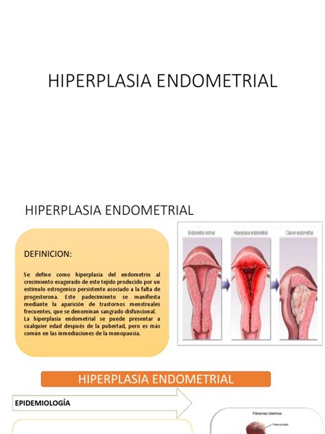 Hiperplasia Endometrial | Menopausia | Ciclo menstrual