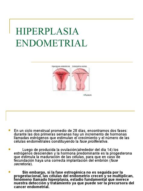 HIPERPLASIA endometrial | PDF | Estrógeno | Ciclo menstrual