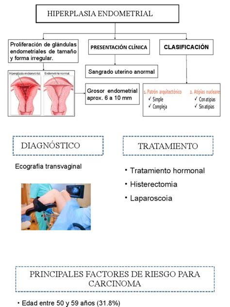 Hiperplasia Endometrial | PDF