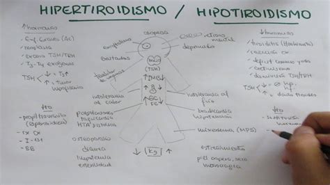 Hipertiroidismo Hipotiroidismo: causas, signos, síntomas y ...