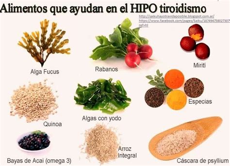 Hipotiroidismo | Hipotiroidismo, Hipotiroidismo ...