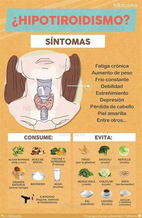 Hipotiroidismo simtomas, que alimentos consumir y cuales ...