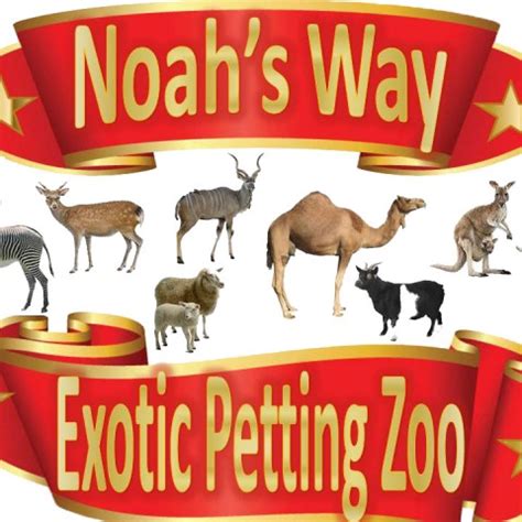 Hire Noah s Way Exotic Petting Zoo and Pony Rides ...